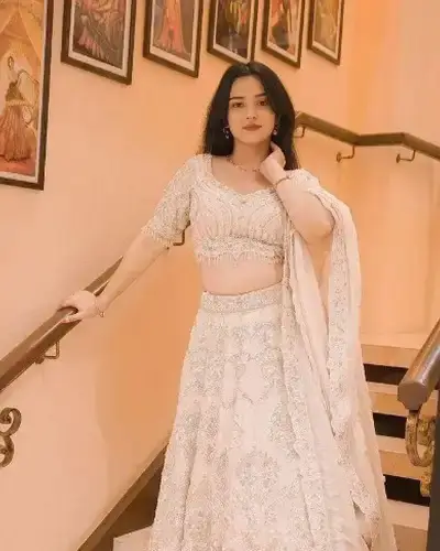 Escort Service In Ellenabad